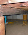 Mold and rot thriving in a dirt floor crawl space in Knoxville