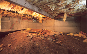 Crawl Space Moisture Barrier before in Knoxville