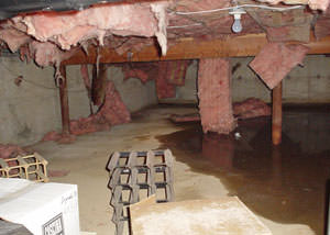 fiberglass insulation dripping off the ceiling of a crawl space in Morristown.