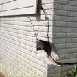 foundation walls cracked due to settlement in Knoxville