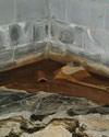 Water damaged basement
