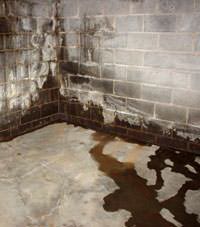 Water seeping through a concrete wall in a Sevierville basement