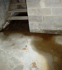 Flooding floor cracks by a hatchway door in Tri-Cities Area