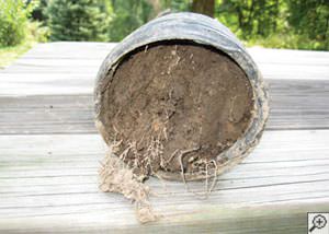 clogged french drain found in Tri-Cities Area, Tennessee