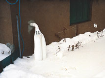 IceGuard® Installed Kingsport